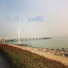 ˲