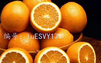 Ը