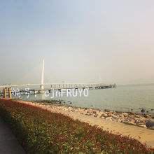 λ