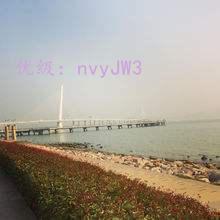 λ