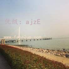 ˲