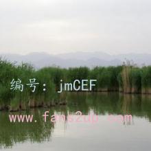 仯