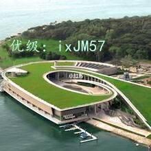 λ